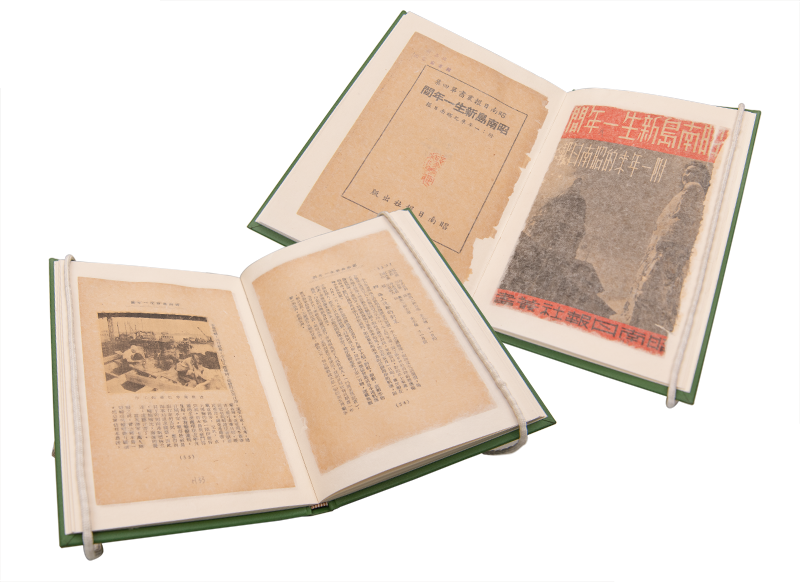 Two open books with Asian scripts, one displaying a photograph and the other showing text and an image on its pages.